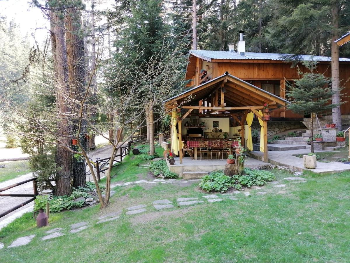 Villa Moon Valley Popovi Livadi